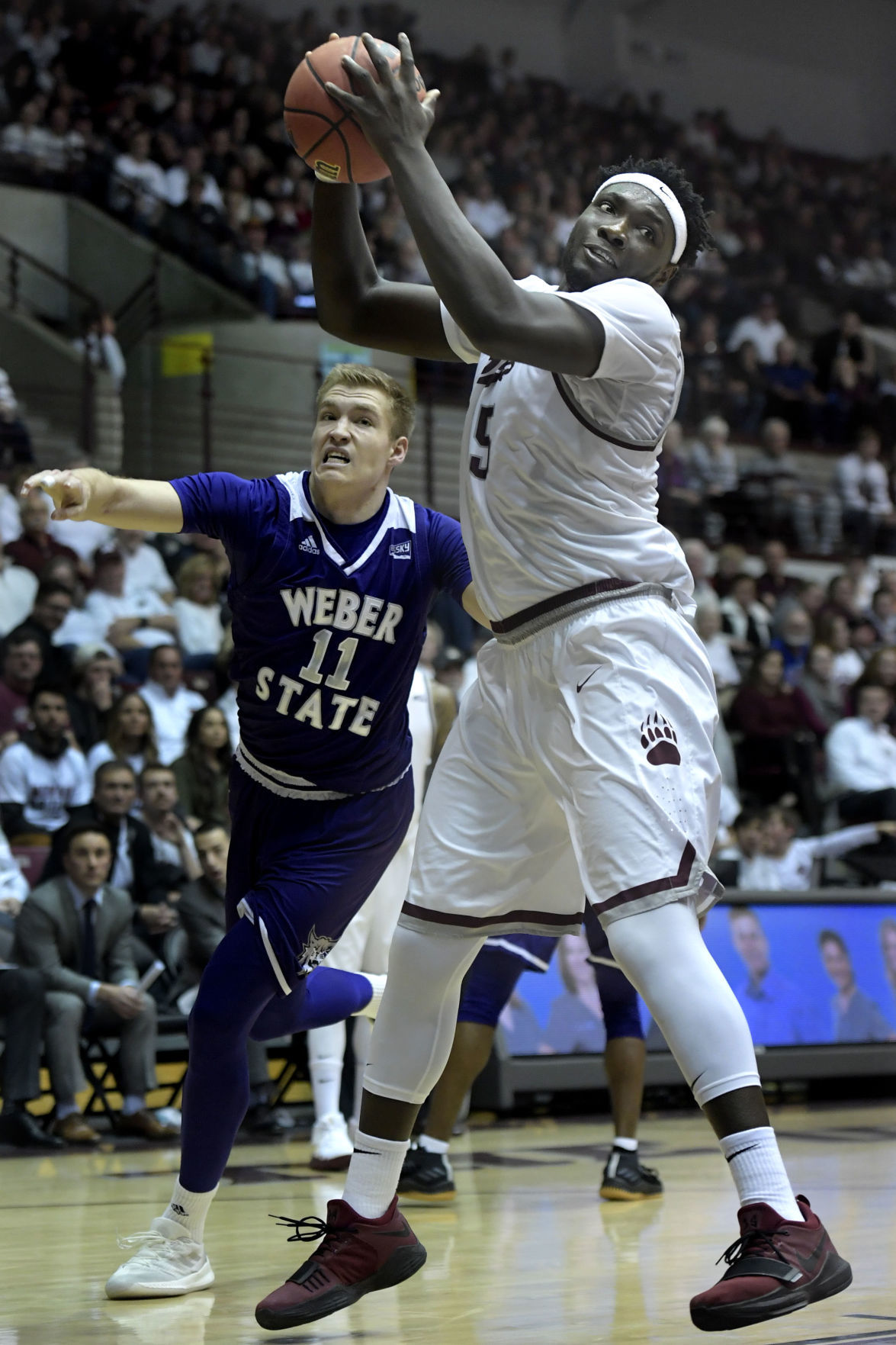 Griz vs Weber-17-tm.JPG